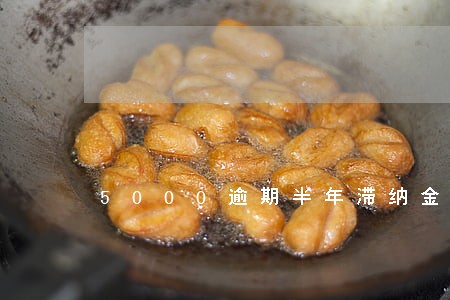 5000逾期半年滞纳金多少 5000逾期半年滞纳金多少