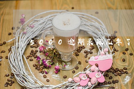 5000逾期呆账几年了 5000逾期呆账几年了