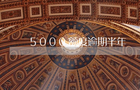 5000额度逾期半年 5000额度逾期半年