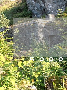 5000额度逾期规定期限是多久 5000额度逾期规定期限是多久