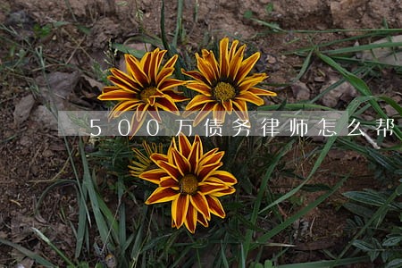 500万债务律师怎么帮你 500万债务律师怎么帮你