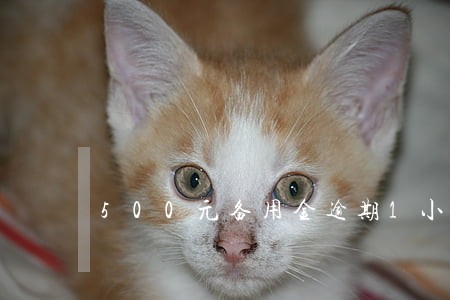 500元备用金逾期1小时怎么办 500元备用金逾期1小时怎么办