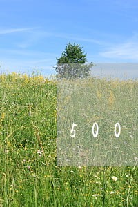500块逾期一个月 500块逾期一个月