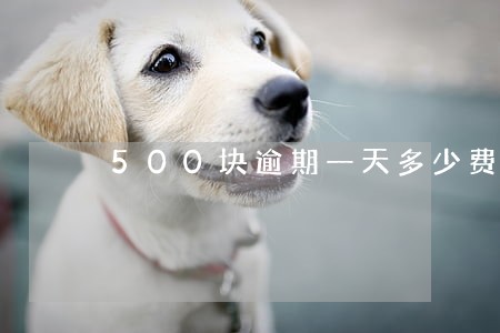 500块逾期一天多少费用 500块逾期一天多少费用