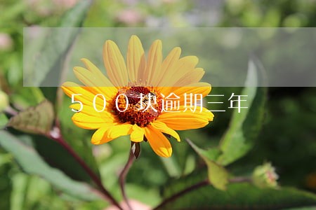 500块逾期三年 500块逾期三年