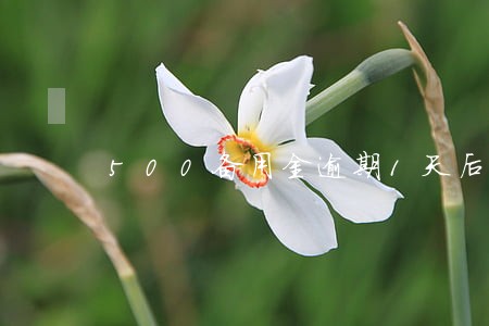 500备用金逾期1天后不能用了 500备用金逾期1天后不能用了