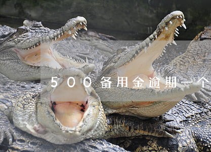 500备用金逾期一个月 500备用金逾期一个月