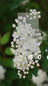 500备用金逾期不能用了 500备用金逾期不能用了