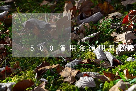 500备用金逾期怎么修复 500备用金逾期怎么修复