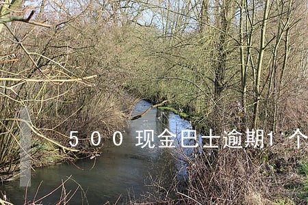 500现金巴士逾期1个月 500现金巴士逾期1个月