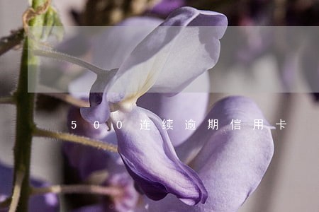 500连续逾期信用卡 500连续逾期信用卡