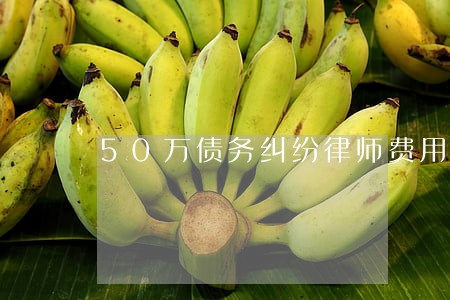 50万债务纠纷律师费用如何收费 50万债务纠纷律师费用如何收费
