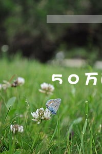 50万的贷款逾期滞纳金是多少 50万的贷款逾期滞纳金是多少