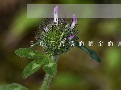 50万负债面临全面逾期怎么办 50万负债面临全面逾期怎么办