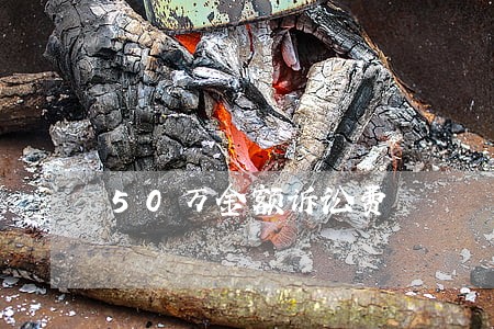 50万金额诉讼费 50万金额诉讼费