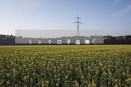 50个口子逾期 50个口子逾期