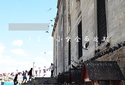 50个小贷全面逾期 50个小贷全面逾期