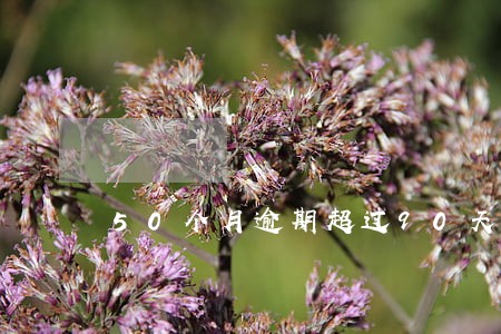 50个月逾期超过90天