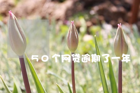 50个网贷逾期了一年 50个网贷逾期了一年
