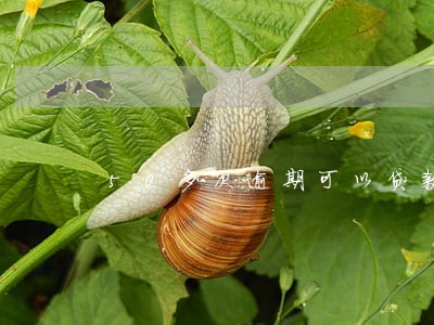 50多次逾期可以贷款吗 50多次逾期可以贷款吗