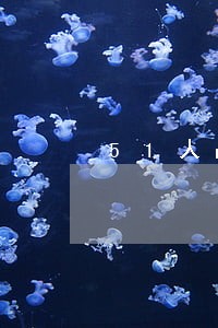 51人品理财有逾期的吗 51人品理财有逾期的吗