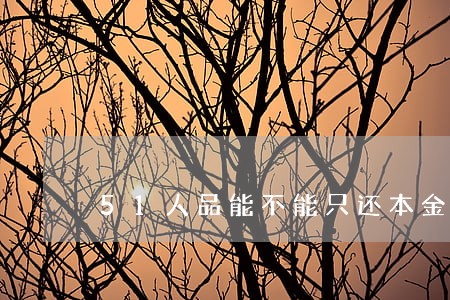 51人品能不能只还本金