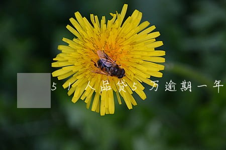 51人品贷5万逾期一年 51人品贷5万逾期一年