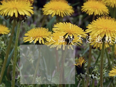 51人品贷不还逾期后果会怎样 51人品贷不还逾期后果会怎样