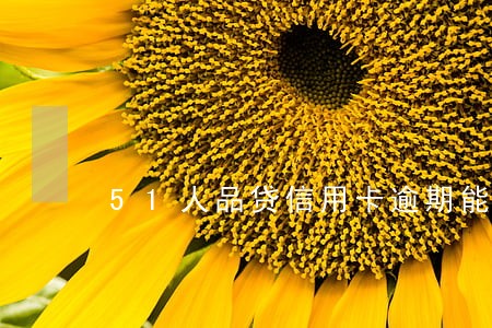 51人品贷信用卡逾期能 51人品贷信用卡逾期能
