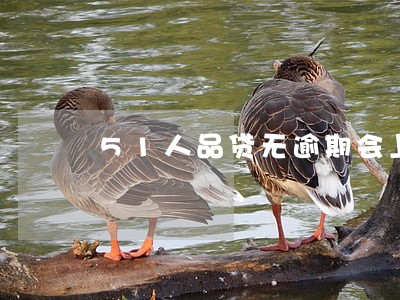 51人品贷无逾期会上征信