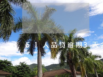 51人品贷逾期3天会怎么样 51人品贷逾期3天会怎么样