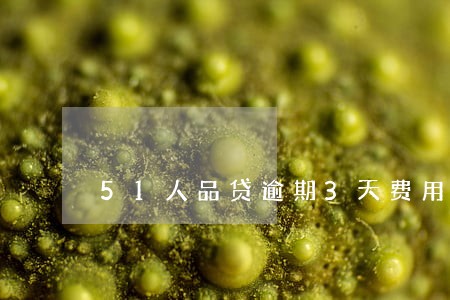 51人品贷逾期3天费用多少钱 51人品贷逾期3天费用多少钱