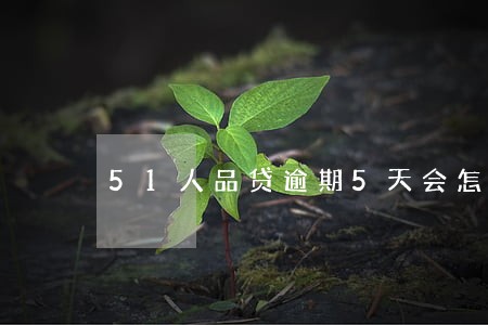 51人品贷逾期5天会怎样 51人品贷逾期5天会怎样