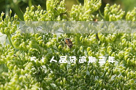 51人品贷逾期三年 51人品贷逾期三年