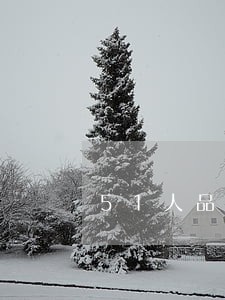 51人品贷逾期两天怎么处理 51人品贷逾期两天怎么处理