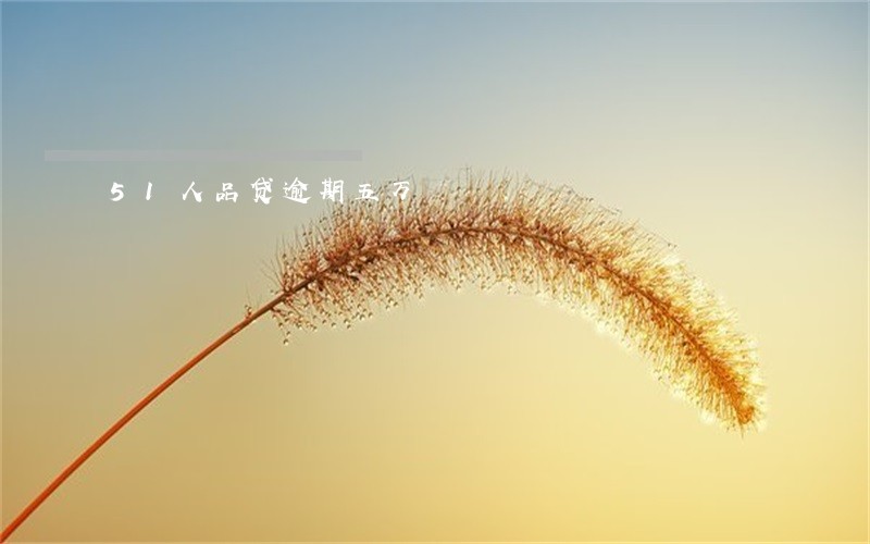 51人品贷逾期五万 51人品贷逾期五万