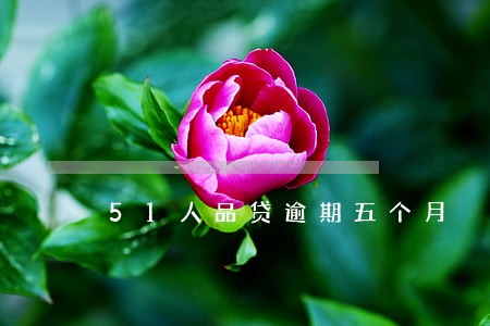 51人品贷逾期五个月 51人品贷逾期五个月