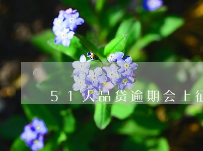 51人品贷逾期会上征信 51人品贷逾期会上征信