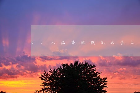51人品贷逾期几天会上征信