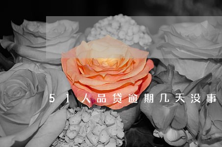 51人品贷逾期几天没事 51人品贷逾期几天没事