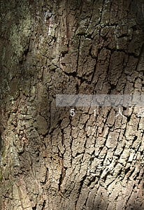 51人品贷逾期利息违法