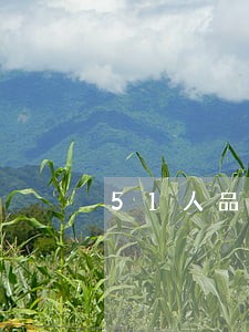 51人品贷逾期罚息多少钱 51人品贷逾期罚息多少钱