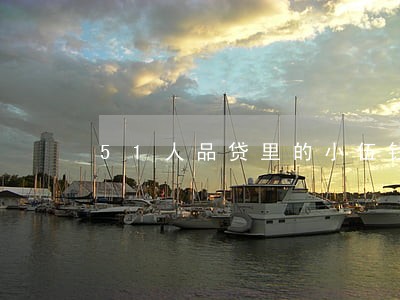 51人品贷里的小伍钱包逾期了 51人品贷里的小伍钱包逾期了
