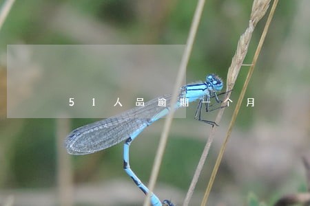 51人品逾期一个月 51人品逾期一个月