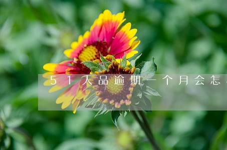 51人品逾期一个月会怎样 51人品逾期一个月会怎样