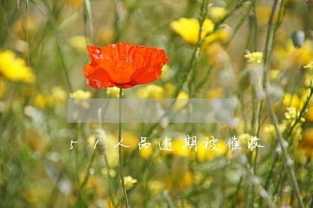 51人品逾期被催收 51人品逾期被催收