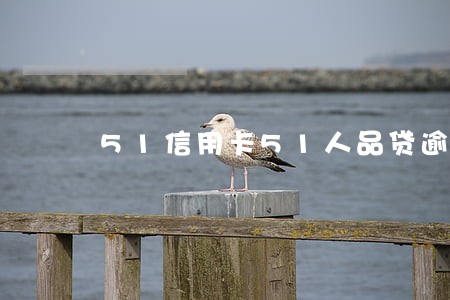 51信用卡51人品贷逾期