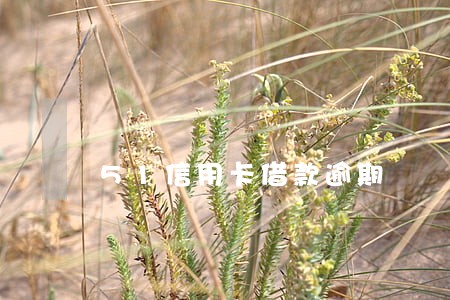 51信用卡借款逾期 51信用卡借款逾期