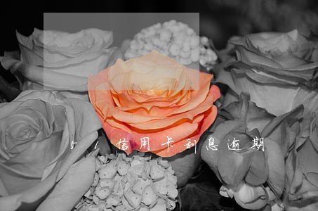51信用卡利息逾期 51信用卡利息逾期