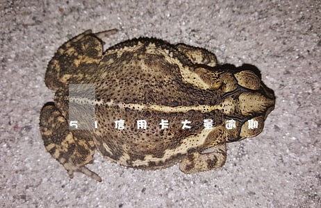 51信用卡大量逾期